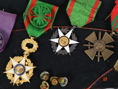 Ordre des palmes académiques, bijou d'officier...