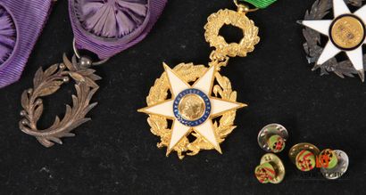 Ordre des palmes académiques, bijou d'officier...
