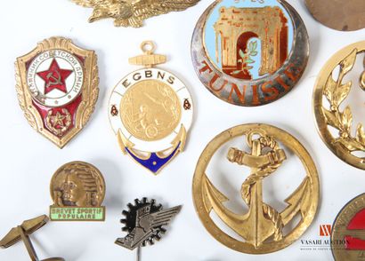 Insigne de béret des Troupes de marine, insigne...