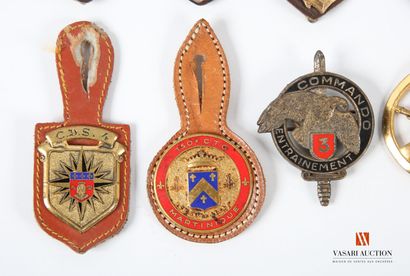 Insigne militaires : 150e CTG Martinique24e...