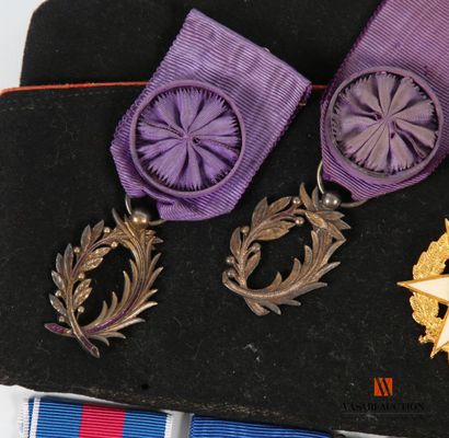 Ordre des palmes académiques, bijou d'officier...