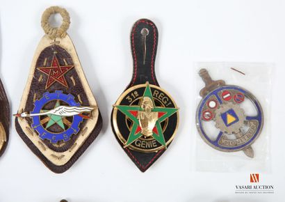 Insigne militaires : 150e CTG Martinique24e...