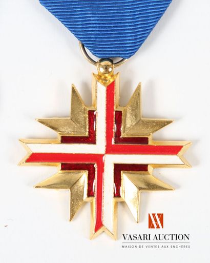 Ordre des palmes académiques, bijou d'officier...