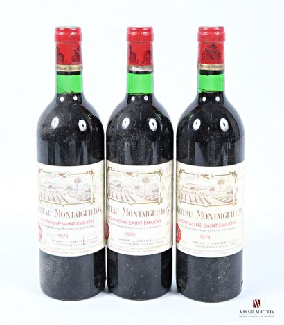 3 bouteilles	Château MONTAIGUILLON	Montagne...