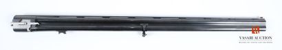 Single stacked barrels for Beretta rifle...