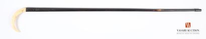 Cane in exotic wood, with knob in warthog...