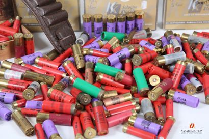 Munitions de catégorie C : environ 270 cartouches...