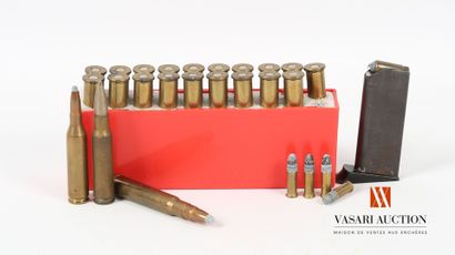 Munitions divers catégorie C : 19 cartouches...