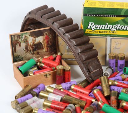 Munitions de catégorie C : environ 270 cartouches...