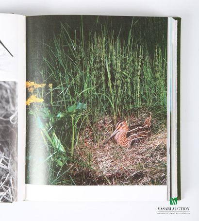 [CHASSE]
Lot de trois ouvrages : 
- VIALAR...