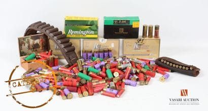 Munitions de catégorie C : environ 270 cartouches...