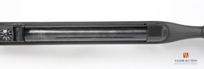 GAMO air rifle model Deltafox calibre 4.5...