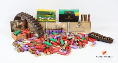 Munitions de catégorie C : environ 270 cartouches...