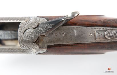Baronchelli shotgun model Super Pointer 66...