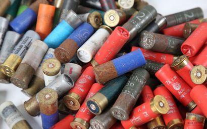 Category C ammunition: 187 rounds of 12-gauge...