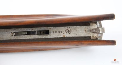 Baronchelli shotgun model Super Pointer 66...