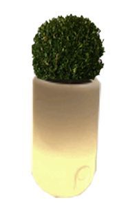 Pot Lumineux
QUANTITE 6