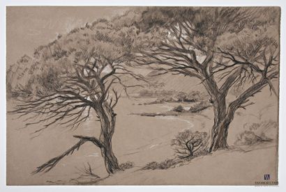 VALES Edmond (1918-2001)
Les Cyprès de Lambert...