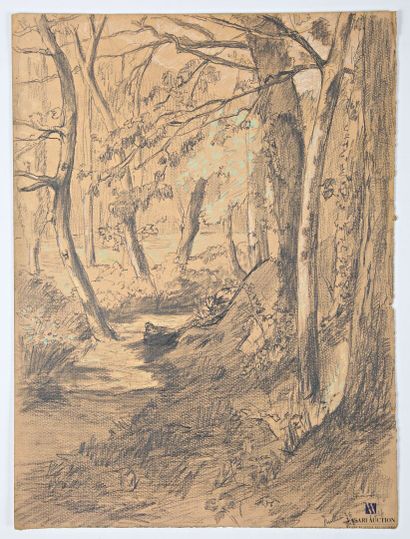 VALES Edmond (1918-2001)
Vue des bois de...