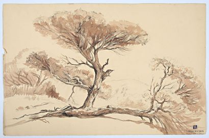 VALES Edmond (1918-2001)
Les Cyprès de Lambert...