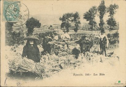 CPA - CORSE - Ajaccio - Les blés