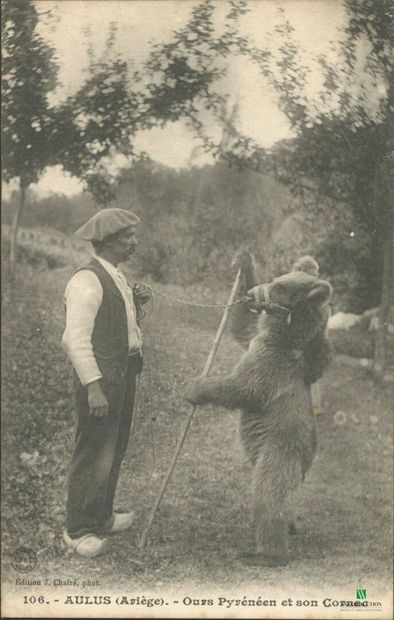 CPA - AULUS (Ariège) - Ours Pyrénéen et son...