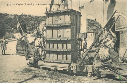 CPA - CAYLUS (Tarn-et-Garonne) - Presseurs...