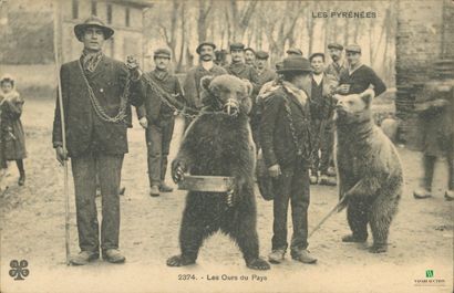 CPA - Les Pyrénées - Les Ours du pays
