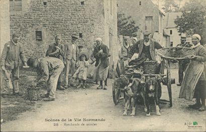 CPA - Scènes de la Vie Normande - Marchands...