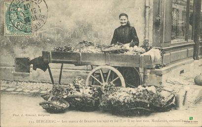CPA - BERGERAC - Marchande de légumes