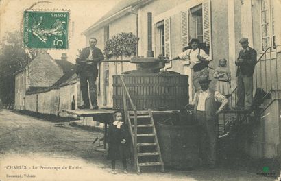 CPA - CHABLIS (Yonne) - Le pressurage du...