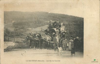 CPA - LA SALVETAT (Hérault) - Arrivée du...