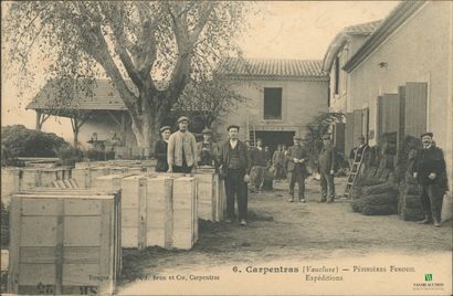CPA - CARPENTRAS (Vaucluse) - Pépinières...