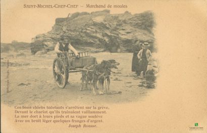 CPA - SAINT-MICHEL-CHEF-CHEF (Loire-Atlantique)...