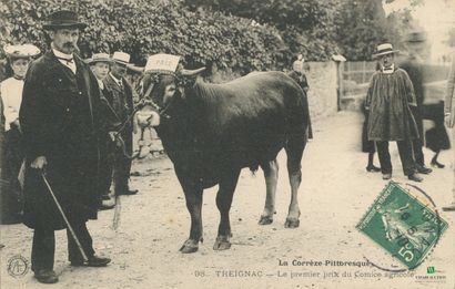 CPA - La Corrèze pittoresque - TREIGNAC -...