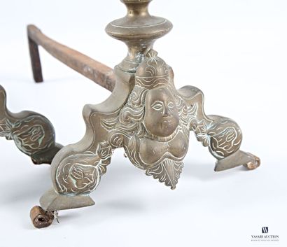 Pair of iron and bronze andirons decorated...