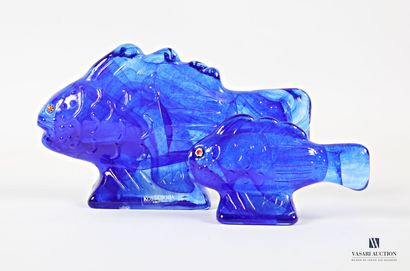 KOSTA BODA
Two fish subjects in blue-tinted...