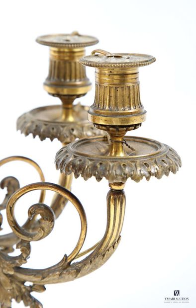 Gilded bronze wall light, the acanthus leaf...