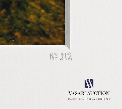 HIBBERT Christopher (1983)
Love 
Photography,...