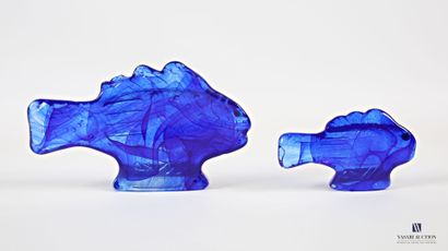 KOSTA BODA
Two fish subjects in blue-tinted...