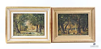 DECHARME (20th century) 
Forest landscape...