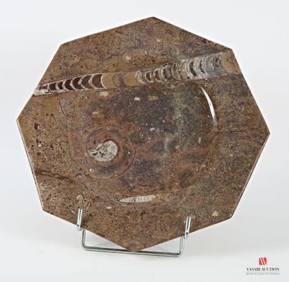 Octagonal dish in polished marble with ammonite...
