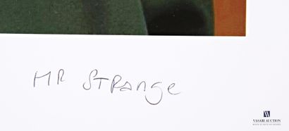 MR. STRANGE (20th century)
Ilie and the crow...