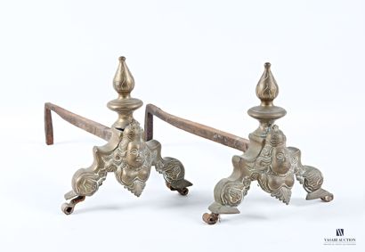 Pair of iron and bronze andirons decorated...