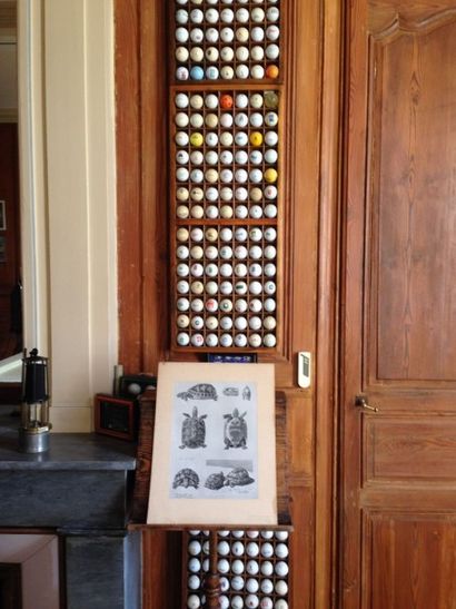 Collection de balles de golf rangées dans...