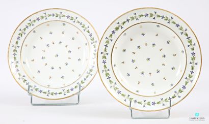 PARIS
Pair of porcelain soup plates decorated...
