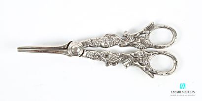 Nickel-plated metal grape scissors, the handles...