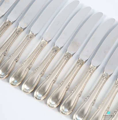 Suite of thirteen table knives and one dessert...