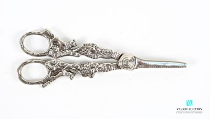 Nickel-plated metal grape scissors, the handles...