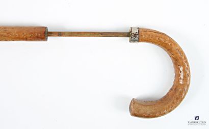 Canne de maquignon en bois ronceux, le pommeau...